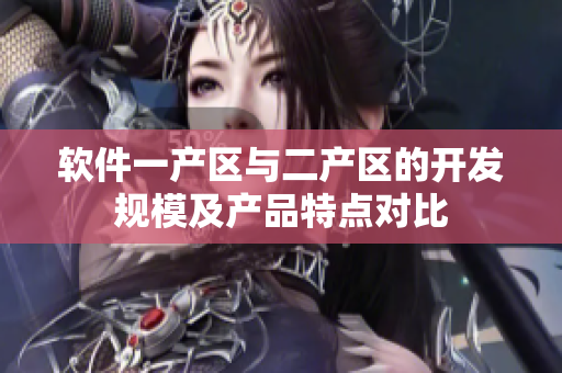 软件一产区与二产区的开发规模及产品特点对比