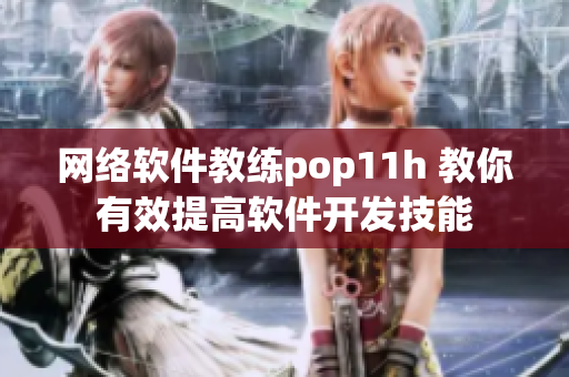 网络软件教练pop11h 教你有效提高软件开发技能