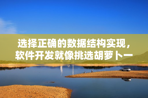 选择正确的数据结构实现，软件开发就像挑选胡萝卜一样简单