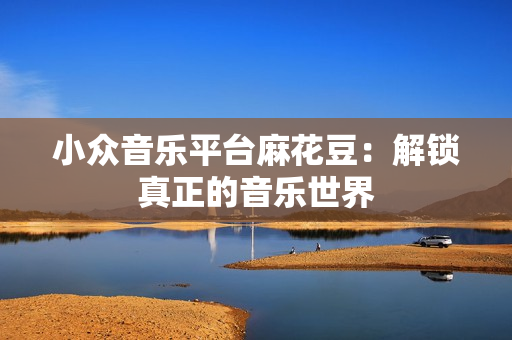 小众音乐平台麻花豆：解锁真正的音乐世界