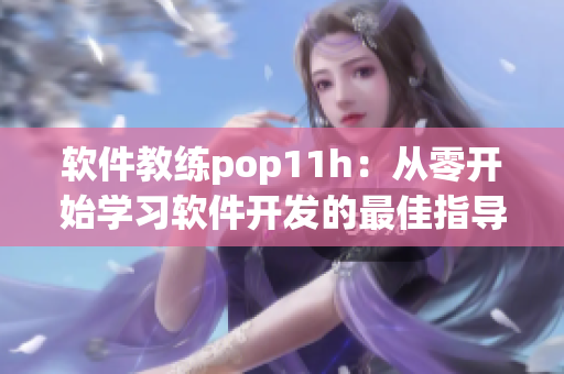 软件教练pop11h：从零开始学习软件开发的最佳指导
