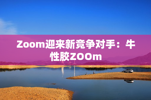Zoom迎来新竞争对手：牛性胶ZOOm