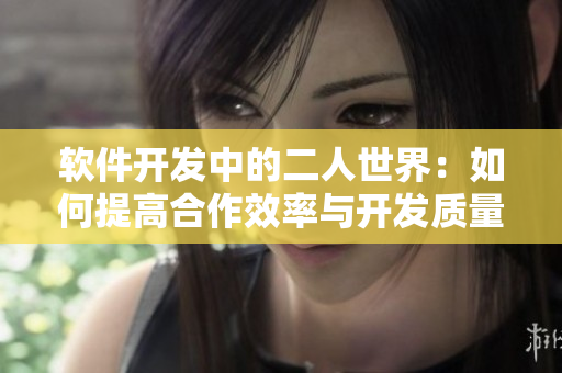 软件开发中的二人世界：如何提高合作效率与开发质量
