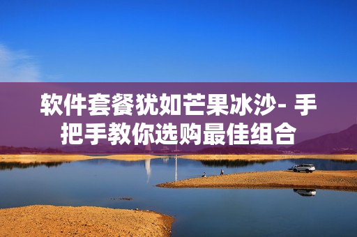 软件套餐犹如芒果冰沙- 手把手教你选购最佳组合