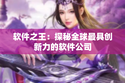 软件之王：探秘全球最具创新力的软件公司