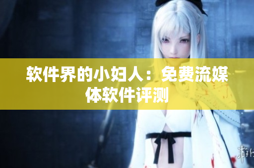 软件界的小妇人：免费流媒体软件评测