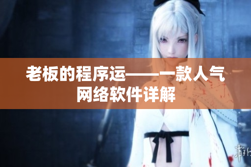 老板的程序运——一款人气网络软件详解