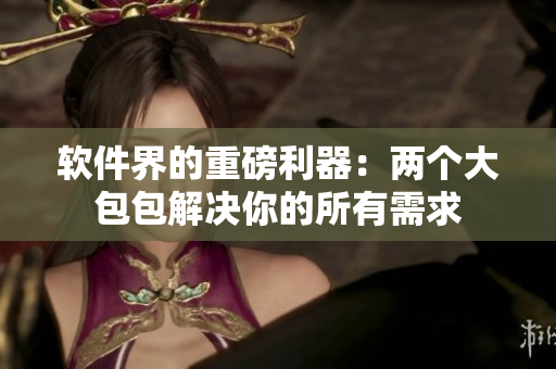 软件界的重磅利器：两个大包包解决你的所有需求