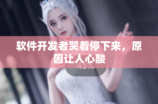 软件开发者哭着停下来，原因让人心酸