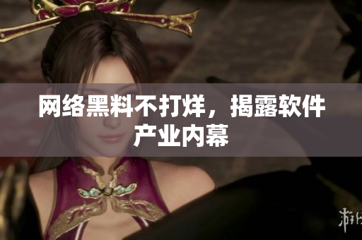 网络黑料不打烊，揭露软件产业内幕