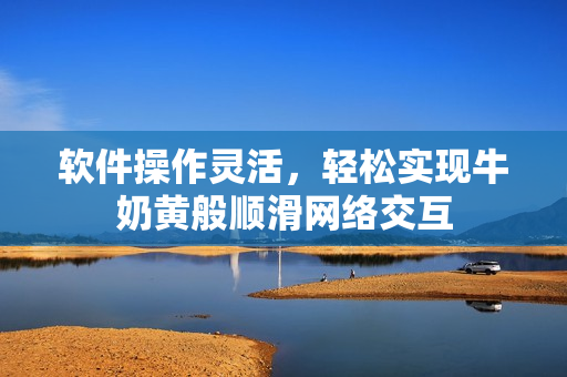 软件操作灵活，轻松实现牛奶黄般顺滑网络交互