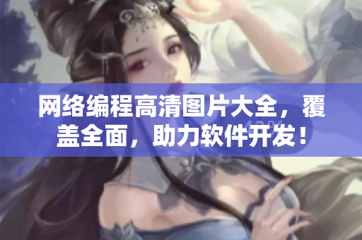 网络编程高清图片大全，覆盖全面，助力软件开发！