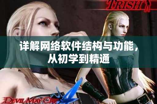 详解网络软件结构与功能，从初学到精通