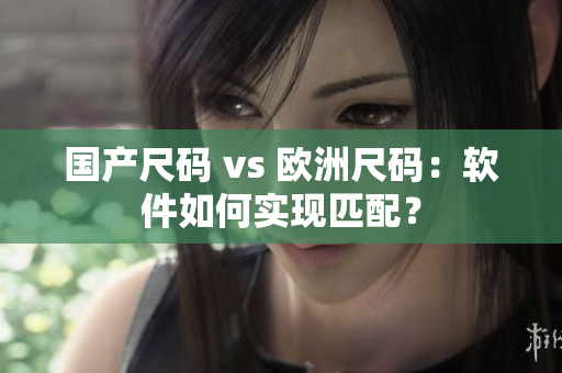 国产尺码 vs 欧洲尺码：软件如何实现匹配？