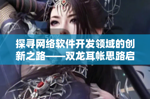 探寻网络软件开发领域的创新之路——双龙耳帐思路启示
