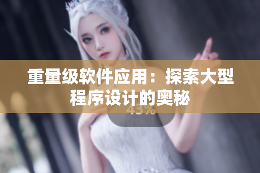 重量级软件应用：探索大型程序设计的奥秘