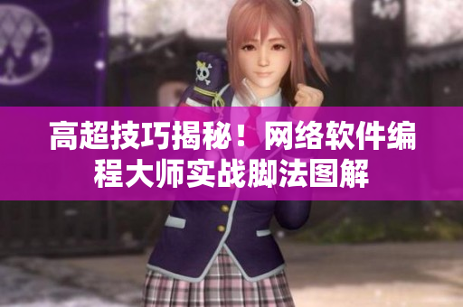 高超技巧揭秘！网络软件编程大师实战脚法图解