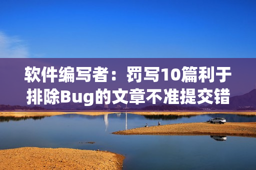 软件编写者：罚写10篇利于排除Bug的文章不准提交错误