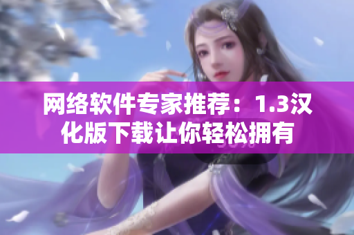 网络软件专家推荐：1.3汉化版下载让你轻松拥有