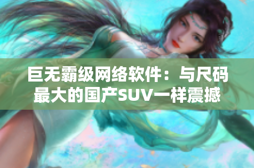 巨无霸级网络软件：与尺码最大的国产SUV一样震撼