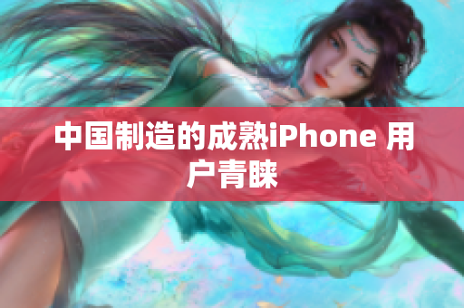 中国制造的成熟iPhone 用户青睐