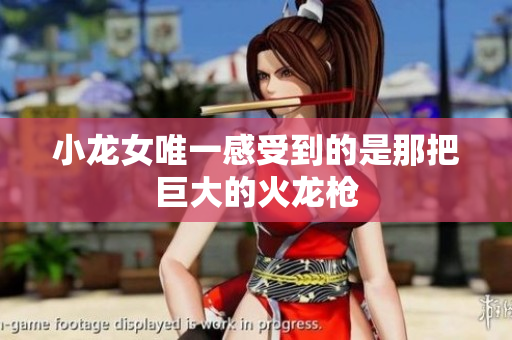 小龙女唯一感受到的是那把巨大的火龙枪
