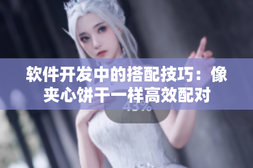 软件开发中的搭配技巧：像夹心饼干一样高效配对