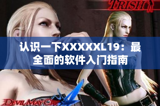 认识一下XXXXXL19：最全面的软件入门指南