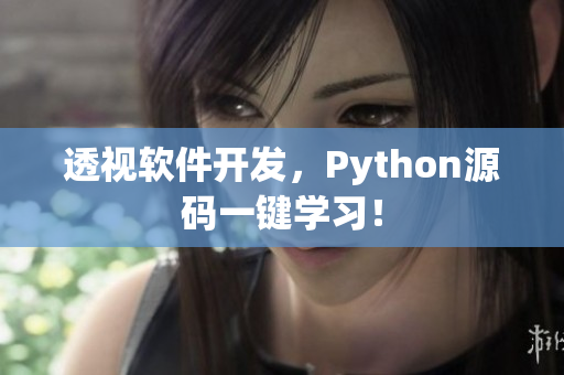 透视软件开发，Python源码一键学习！
