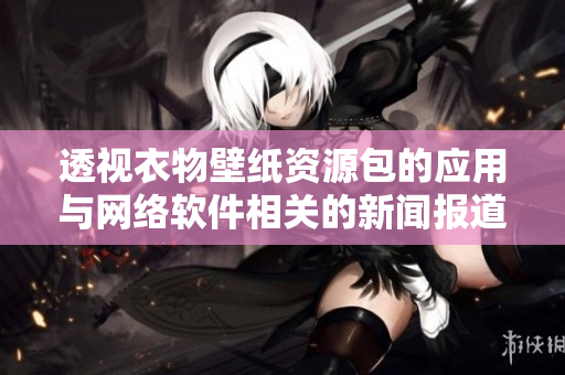 透视衣物壁纸资源包的应用与网络软件相关的新闻报道