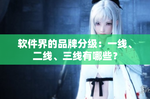 软件界的品牌分级：一线、二线、三线有哪些？