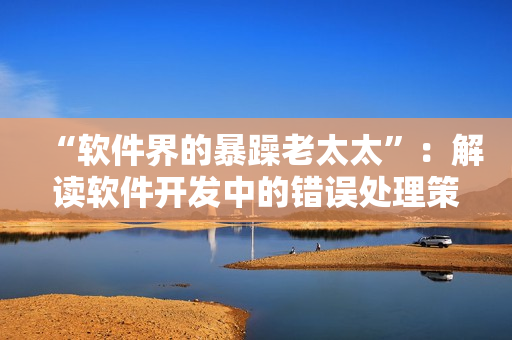 “软件界的暴躁老太太”：解读软件开发中的错误处理策略