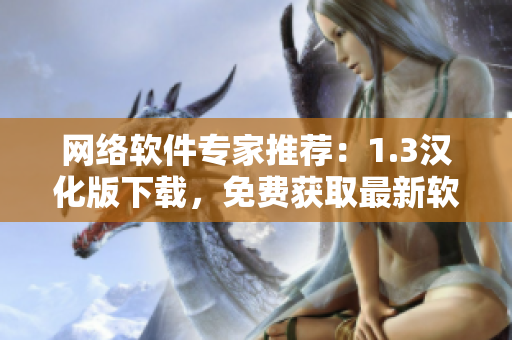 网络软件专家推荐：1.3汉化版下载，免费获取最新软件！