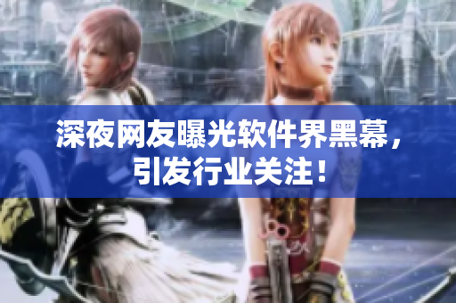 深夜网友曝光软件界黑幕，引发行业关注！
