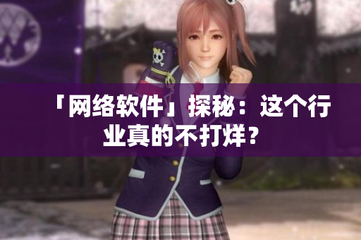 「网络软件」探秘：这个行业真的不打烊？