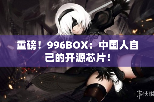 重磅！996BOX：中国人自己的开源芯片！
