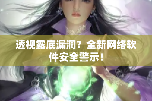 透视露底漏洞？全新网络软件安全警示！