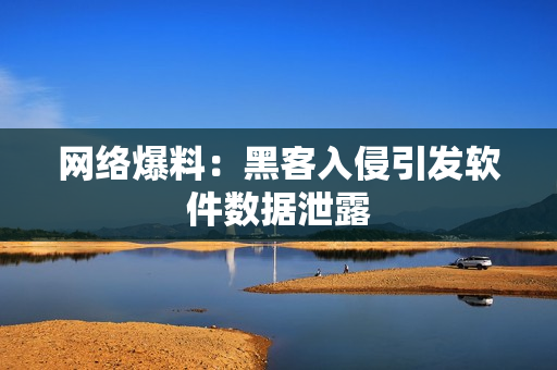 网络爆料：黑客入侵引发软件数据泄露