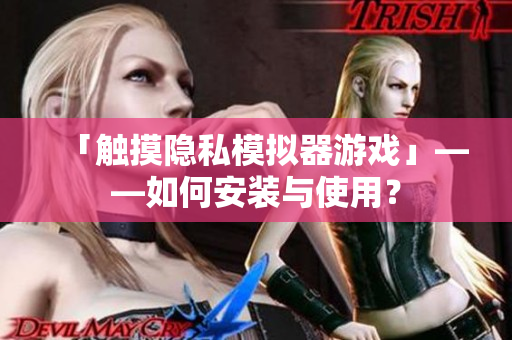 「触摸隐私模拟器游戏」——如何安装与使用？