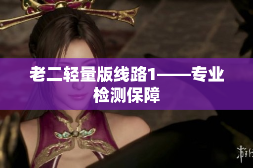 老二轻量版线路1——专业检测保障