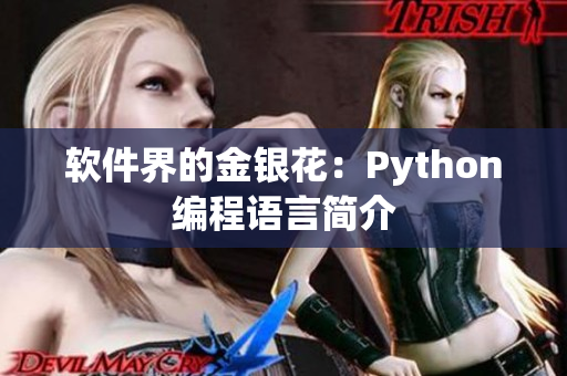 软件界的金银花：Python编程语言简介