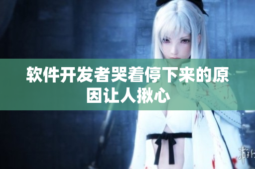 软件开发者哭着停下来的原因让人揪心