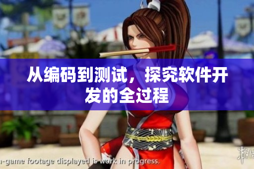 从编码到测试，探究软件开发的全过程