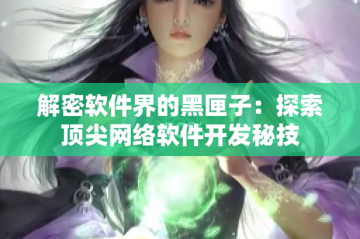 解密软件界的黑匣子：探索顶尖网络软件开发秘技