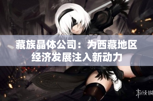 藏族晶体公司：为西藏地区经济发展注入新动力