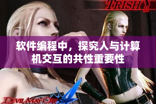 软件编程中，探究人与计算机交互的共性重要性