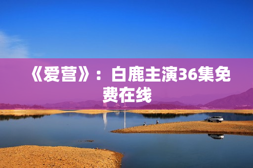 《爱营》：白鹿主演36集免费在线