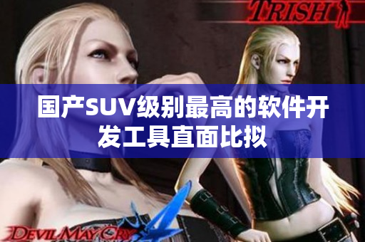 国产SUV级别最高的软件开发工具直面比拟