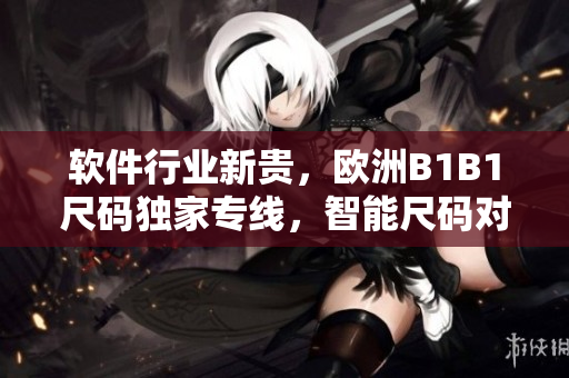 软件行业新贵，欧洲B1B1尺码独家专线，智能尺码对接软件技术创新
