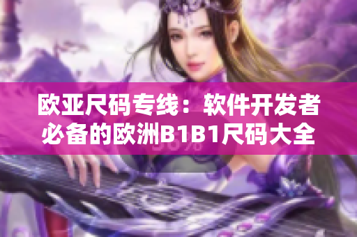 欧亚尺码专线：软件开发者必备的欧洲B1B1尺码大全